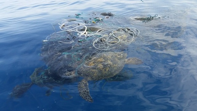 fishing net