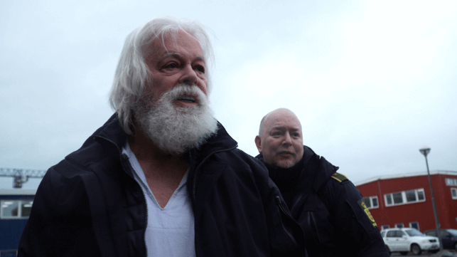 Paul Watson during his detention in Greenland last year (Capt. Paul Watson Foundation)